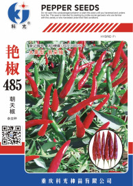 科光種苗“艷椒485”辣椒、“秋實(shí)1號(hào)”甘藍(lán)分別入選2025年農(nóng)業(yè)主導(dǎo)品種、農(nóng)作物優(yōu)良品種推廣目錄